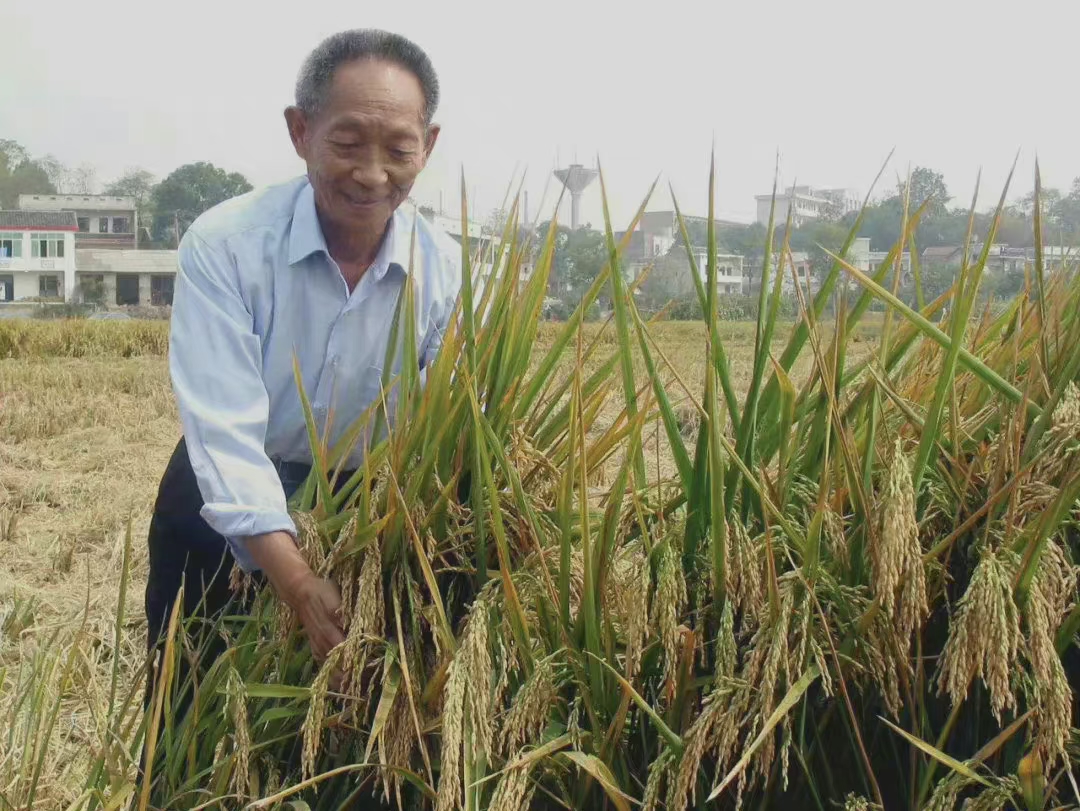 袁隆平3