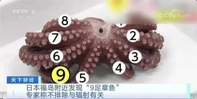 海洋生物污染