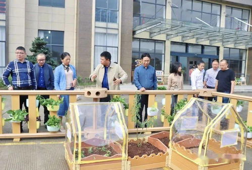 貝瑪教育 麗水市學前教育專家實地參觀指導，共促教育發(fā)展