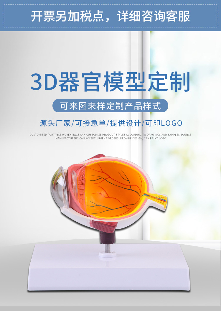 醫(yī)用教學器官模型在病理分析教育中的應(yīng)用 以單眼眼球模型為例